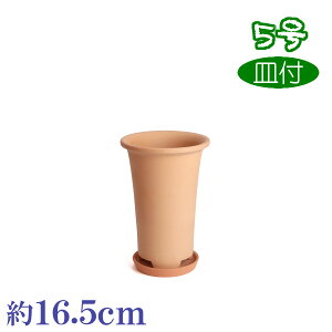 Mt fĒ f 5  HOM 4 f { O͏ Aؔ   c TCY 16.5cm ďv   ƒ؉ K[fjO  i` k K[f a AW