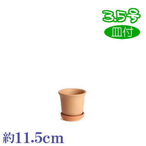 Mt Kۂт f 3.5  HOM 3 f { O͏ Aؔ   c TCY 11cm ďv   ƒ؉ K[fjO  i` k K[f a AWA