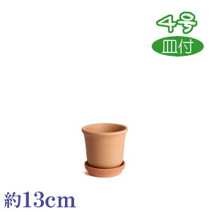 Mt Kۂт f 4  HOM 3.5 f { O͏ Aؔ   c TCY 13cm ďv   ƒ؉ K[fjO  i` k K[f a AWA