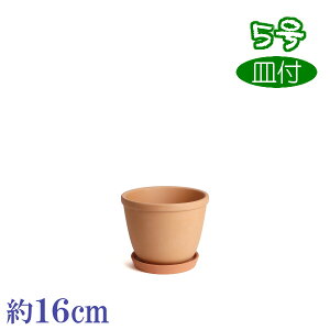 Mt т˔ f 5  HOM 4 f { O͏ Aؔ   c TCY 16cm ďv   ƒ؉ K[fjO  i` k K[f a AWA 