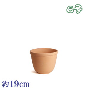 т˔ f 6 { O͏ Aؔ   c TCY 19cm ďv   ƒ؉ K[fjO   i` k K[f a AWA eCXg v[