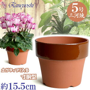 y󂠂zvŒ Aؔ   ʉ 5 TCY 15.5cm O͏ 픫 [^  KF eRb^  { v^[ | K[fjO ^ ^  