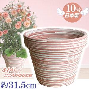 ��v�Œ����� �A�ؔ� ���� �ӂ�蔫 �}�[�u���s���N 10�� �T�C�Y 31cm �튊�� �� ���픫 �[�^ ������� ���F ���F ������ ���{�� �v�����^�[ ���|���� �K�[�f�j���O ��^ ���^ ���� ���� ���O ��