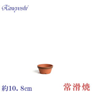 Aؔ   TCY 11cm ďv ʉ ^ 3D5