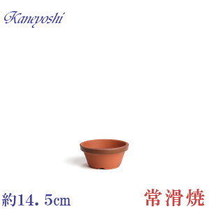 Aؔ   TCY 14cm ďv ʉ ^ 4D5