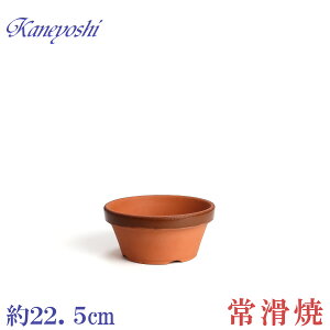 Aؔ   TCY 22cm ďv ʉ ^ 7