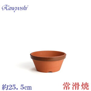 Aؔ   TCY 25cm ďv ʉ ^ 8