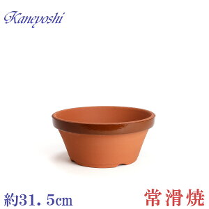 Aؔ   TCY 31cm ďv ʉ ^ 10