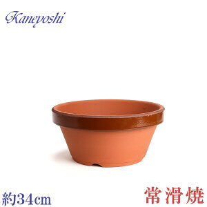 Aؔ   TCY 34cm ďv ʉ ^ 11