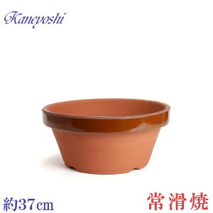 Aؔ   TCY 37cm ďv ʉ ^ 12