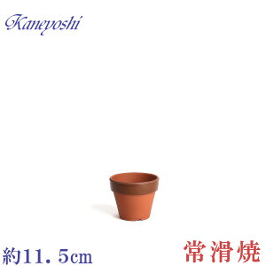 Aؔ   TCY 11cm ďv ʉ [^ 3D5