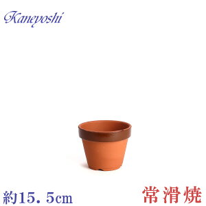 Aؔ   TCY 15cm ďv ʉ [^ 5