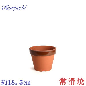 Aؔ   TCY 18cm ďv ʉ [^ 6
