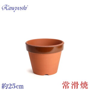 Aؔ   TCY 25cm ďv ʉ [^ 8