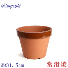 楽天市場 植木鉢 10 号 サイズの通販