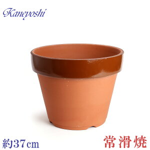 Aؔ   TCY 37cm ďv ʉ [^ 12