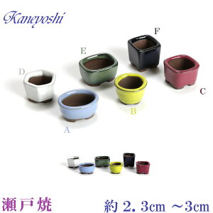 ~͔ R쑐 Aؔ   TCY 2D3`3cm ˏ ~ KN0121 Jt 6_Zbg