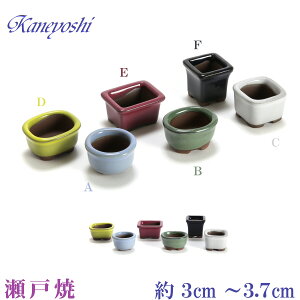 ~͔ R쑐 Aؔ   TCY 3`3D7cm ˏ ~ KN0127 Jt 6_Zbg