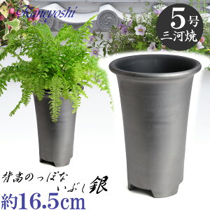 ʋCQ Ԃ̐Aؔ  F 5 16.5cm O͏ 픫  [^ Aɂ₳ { Aؔ  ԂĂ  픫 v^[ | K[fjO Aؔ ^