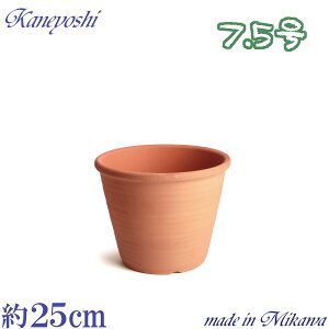 W|l ԏ 7.5 { O͏ Aؔ   KF eRb^ TCY 25cm ďv   ƒ؉ K[fjO   i` k K[f a AWA 