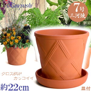 Mt n[û 7 ԏ & MAM7 ԏĕt TCY 22cm O͏ 픫 [^  KF eRb^  { v^[ | K[fjO ^ ^   O 