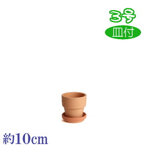 Mt Ct f 3  HOM 3 f { O͏ Aؔ   c TCY 10cm ďv   ƒ؉ K[fjO  i` k K[f a AWA e