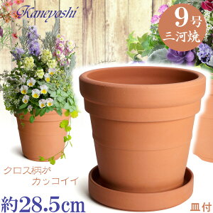 o琬 o Aւ LVJ 9 Mt w  [ ԏ { KN ͔| NX}X[Y O͏ Aؔ   KF eRb^ TCY 28cm ďv   ƒ