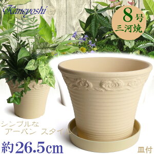 DL[Y o  8 & KNM1228t { O͏ Aؔ   x[W eRb^ TCY 26cm ďv   ƒ؉ K[fjO   i` k K[f