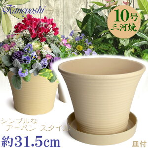 [Y  10 & KNM1288t TCY 31.5cm L [ O͏ Aؔ   픫 ďvŒ  x[W eRb^   ƒ؉ v^[ | K[fj