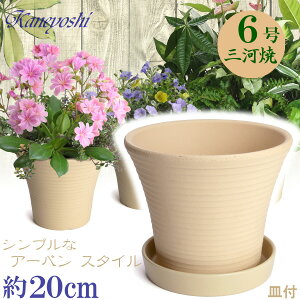 ďvŒ Aؔ [ [Y  TCY 6 & KNM1178t 20cm L O͏ Aؔ  픫  x[W eRb^   ƒ؉ v^[ | K[fj