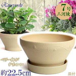 i` x[ 7  & KNM1178t { O͏ Aؔ   x[W eRb^ TCY 22cm ďv   ƒ؉ K[fjO   i` k K
