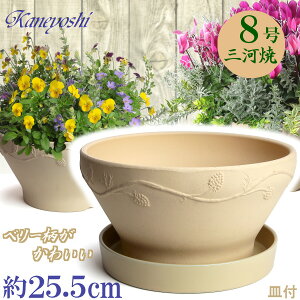 i`x[ 8  & KNM1228t { O͏ Aؔ   x[W eRb^ TCY 25cm ďv   ƒ؉ K[fjO   i` k K