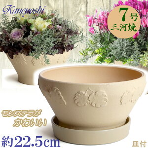 i` Xe 7  & KNM1178t { O͏ Aؔ   x[W eRb^ TCY 22cm ďv   ƒ؉ K[fjO   i` k