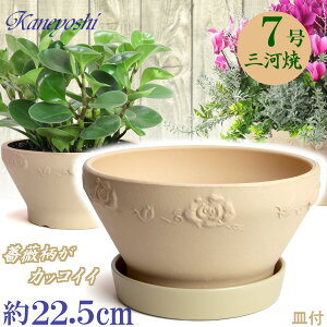i` o 7  & KNM1178t { O͏ Aؔ   x[W eRb^ TCY 22cm ďv   ƒ؉ K[fjO   i` k K[
