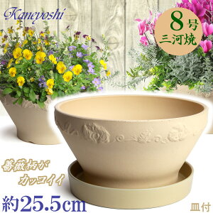i` o 8  & KNM1228t { O͏ Aؔ   x[W eRb^ TCY 25cm ďv   ƒ؉ K[fjO   i` k K[