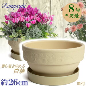 K[fi[ 8  & KNM1228t { O͏ Aؔ   zCg F eRb^ TCY 25cm ďv   ƒ؉ K[fjO   i` k K[