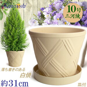 vŒ Aؔ  n[û 10  & KNM1288t TCY 31cm O͏  픫 [^  F zCg  { v^[ | K[fjO ^ ^ 