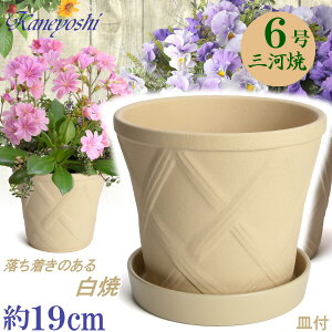 vŒ Aؔ  n[û6 & KNM1178t TCY 19cm O͏  픫 [^  F zCg  { v^[ | K[fjO^   