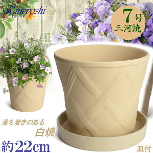 vŒ Aؔ  n[û 7  & KNM1228t TCY 22cm O͏  픫 [^  F zCg  { v^[ K[fjO ^ ^   O