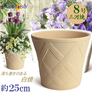 vŒ Aؔ  n[û 8  TCY 25cm O͏  픫 [^  F zCg  { v^[ | K[fjO ^ ^   O 