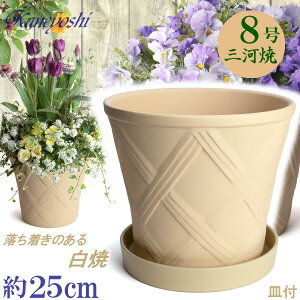 vŒ Aؔ  n[û 8  & KNM1228t TCY 25cm O͏  픫 [^  F zCg  { v^[ | K[fjO ^ ^  