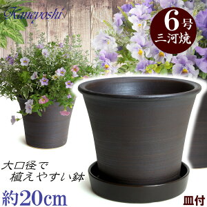 Mt Aؔ  u[P uE 6 & KNM1179 uEt TCY 20cm O͏ F ϓy 픫 [^   { Aؔ  픫 v^[ | K[fjO A