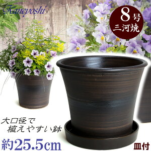 Mt Aؔ  u[P uE 8 & KNM1229 uEt TCY 25.5cm O͏ F ϓy 픫 [^   { Aؔ  픫 v^[ | K[fjO 