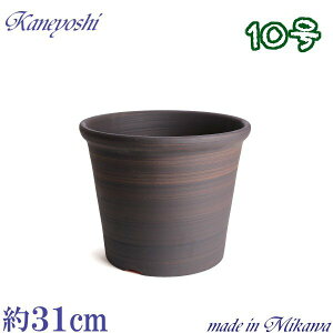 y󂠂z S|bg uE 10 { O͏ Aؔ   F eRb^ TCY 31cm ďv   ƒ؉ K[fjO   i` k K[f 