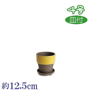 aCt J ܂Ԃ 4 Mt t Aɂ₳ TCY 12.5cm O͏ Aؔ  fĂ  픫 ĐAɗǂ v^[ | K[fjO Aؔ ^ ^ 