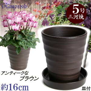 Mt t[[h 5 uE & KNM1179 uEt TCY 16cm L@O͏ Aؔ   픫 ďv F   ƒ؉ v^[ | K[fjO ^ 
