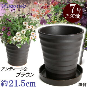 Mt t[[h 7 uE & KNM1229 uEt TCY 21cm L O͏ Aؔ   픫 ďv F   ƒ؉ v^[ | K[fjO ^ 