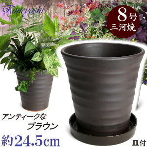 Mt t[[h 8 uE & KNM1229 uEt TCY 24cm L O͏ Aؔ   픫 ďv F   ƒ؉ v^[ | K[fjO ^ 