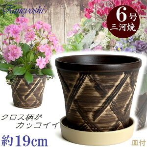 Mt Aؔ  n[û uE 6 & KNM1178x[Wt TCY 19cm O͏  픫 [^  F  { v^[ | K[fjO ^   