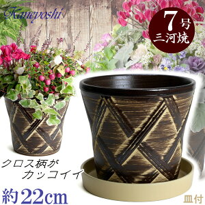 Mt Aؔ  n[û uE 7 & KNM1228x[Wt TCY 22cm O͏  픫 [^  F  { v^[ | K[fjO ^   